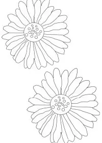 Fisă de colorat cu Flori de colorat p59