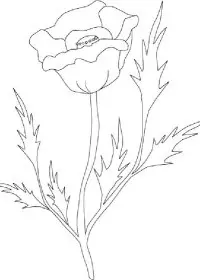 Fisă de colorat cu Flori de colorat p60