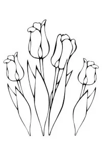 Fisă de colorat cu Flori de colorat p62