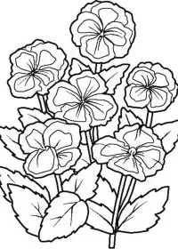 Fisă de colorat cu Flori de colorat p71