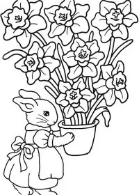 Fisă de colorat cu Flori de colorat p72
