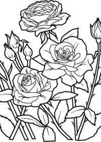 Fisă de colorat cu Flori de colorat p76