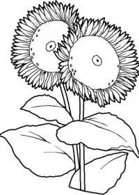 Fisă de colorat cu Flori de colorat p78