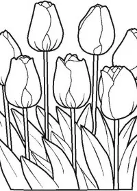 Fisă de colorat cu Flori de colorat p79