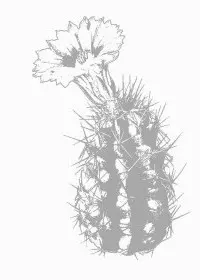 Fisă de colorat cu Flori de colorat p87