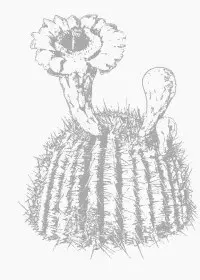 Fisă de colorat cu Flori de colorat p88