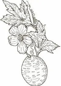 Fisă de colorat cu Flori de colorat p89