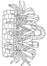 Fisă de colorat cu Flori de colorat p90