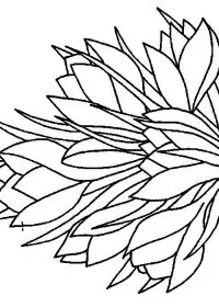 Fisă de colorat cu Flori de colorat p91