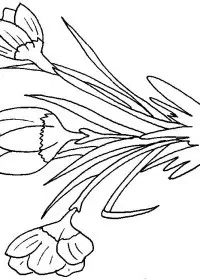 Fisă de colorat cu Flori de colorat p92