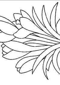 Fisă de colorat cu Flori de colorat p93