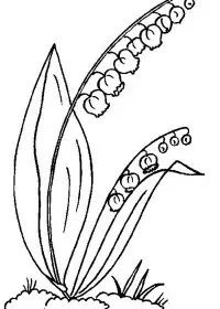 Fisă de colorat cu Flori lacramioare de colorat p01