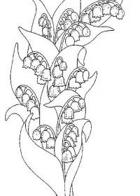 Fisă de colorat cu Flori lacramioare de colorat p02