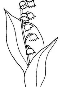 Fisă de colorat cu Flori lacramioare de colorat p19