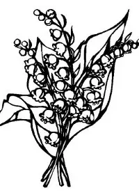 Fisă de colorat cu Flori lacramioare de colorat p22