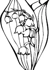 Fisă de colorat cu Flori lacramioare de colorat p26