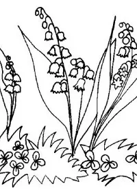 Fisă de colorat cu Flori lacramioare de colorat p27