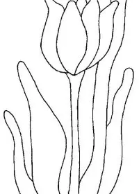 Fisă de colorat cu Flori lalele de colorat p01