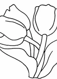 Fisă de colorat cu Flori lalele de colorat p02