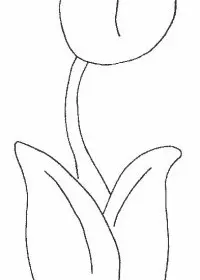 Fisă de colorat cu Flori lalele de colorat p04