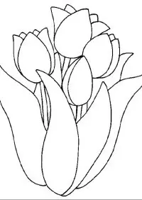 Fisă de colorat cu Flori lalele de colorat p11