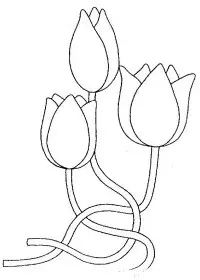 Fisă de colorat cu Flori lalele de colorat p23