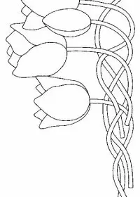 Fisă de colorat cu Flori lalele de colorat p24