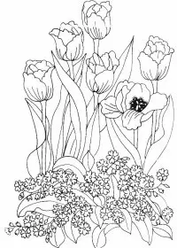 Fisă de colorat cu Flori lalele de colorat p26