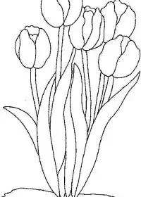 Fisă de colorat cu Flori lalele de colorat p28