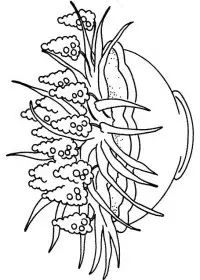 Fisă de colorat cu Flori lavanda de colorat p01