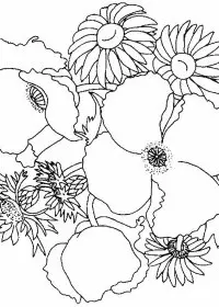 Fisă de colorat cu Flori maci de colorat p06