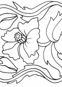 Fisă de colorat cu Flori maci de colorat p07