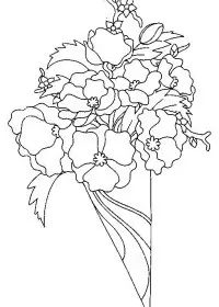 Fisă de colorat cu Flori maci de colorat p16