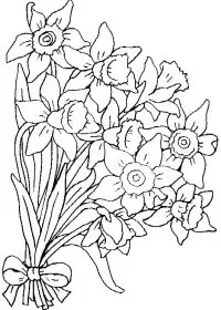 Fisă de colorat cu Flori narcise de colorat p02