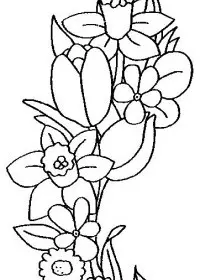 Fisă de colorat cu Flori narcise de colorat p04