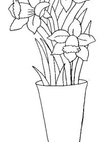 Fisă de colorat cu Flori narcise de colorat p09