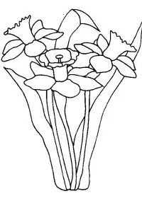 Fisă de colorat cu Flori narcise de colorat p10