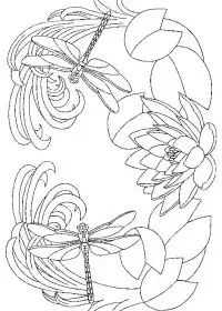 Fisă de colorat cu Flori nuferi de colorat p01