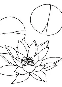 Fisă de colorat cu Flori nuferi de colorat p03
