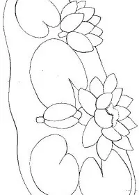 Fisă de colorat cu Flori nuferi de colorat p07