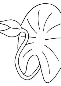 Fisă de colorat cu Flori nuferi de colorat p11