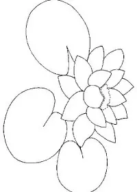 Fisă de colorat cu Flori nuferi de colorat p13