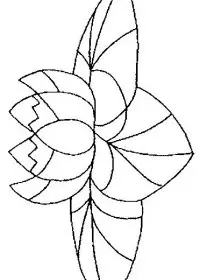 Fisă de colorat cu Flori nuferi de colorat p16