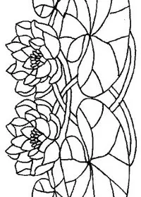 Fisă de colorat cu Flori nuferi de colorat p19