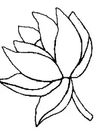 Fisă de colorat cu Flori nuferi de colorat p21