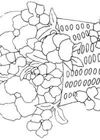 Fisă de colorat cu Flori panselute de colorat p01