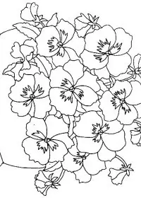 Fisă de colorat cu Flori panselute de colorat p02