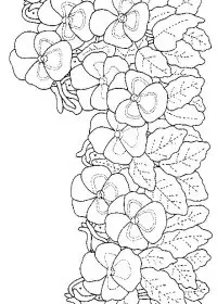 Fisă de colorat cu Flori panselute de colorat p03