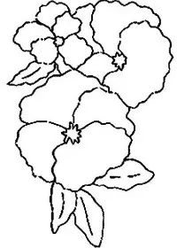 Fisă de colorat cu Flori panselute de colorat p07