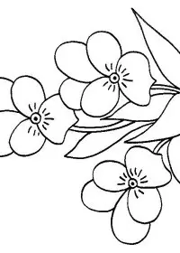 Fisă de colorat cu Flori panselute de colorat p09